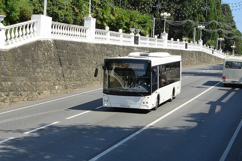 В Сочи появится новый автобусный маршрут