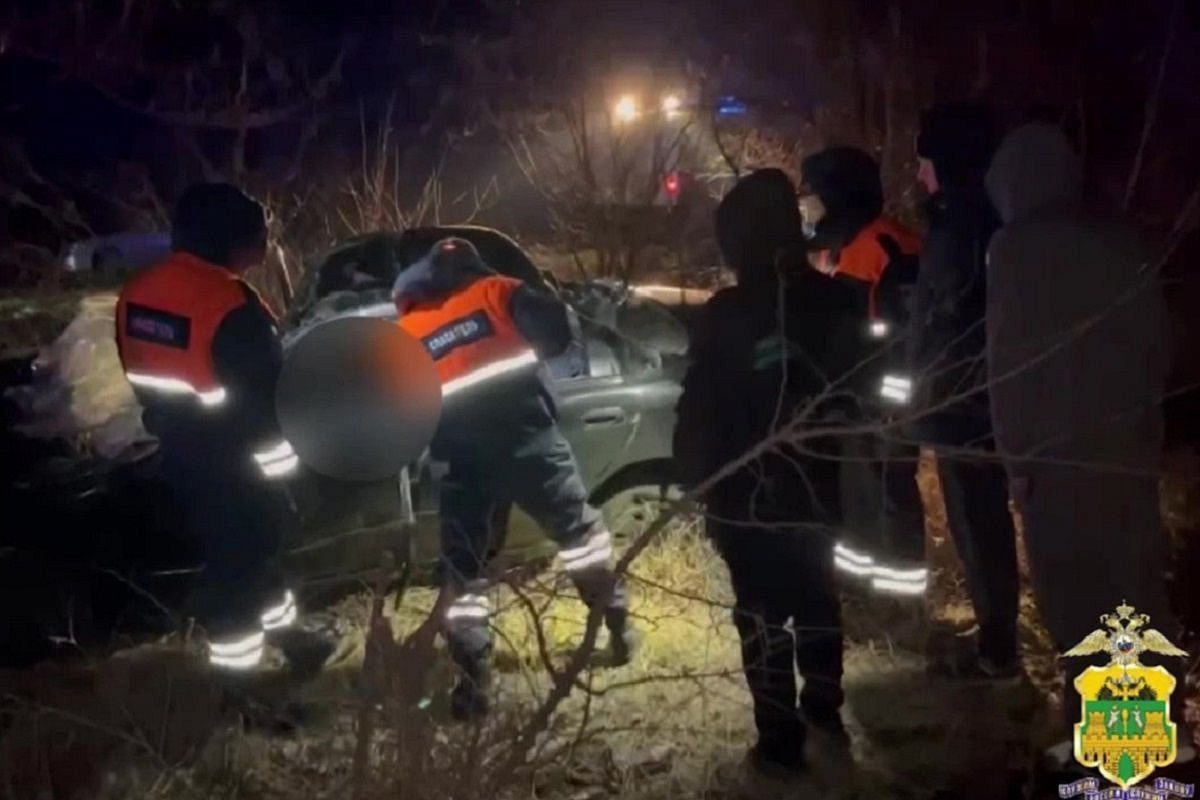 Житель Ростовской области погиб в ДТП, врезавшись в дерево на Кубани