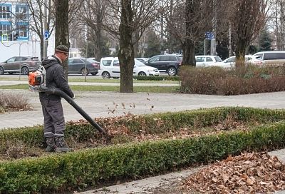 Названы самые дефицитные специалисты в декабре в Краснодарском крае