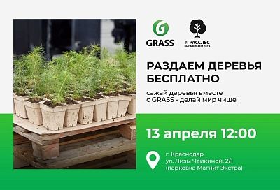 Краснодар станет зеленее: GRASS раздаст 5000 саженцев