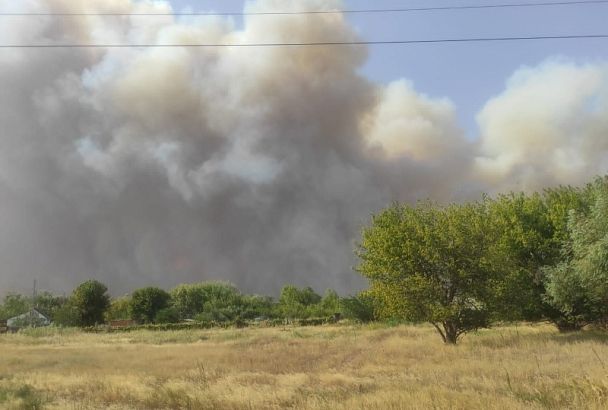 В Ростовской области горит 30 га леса. Огонь перекинулся на дома   