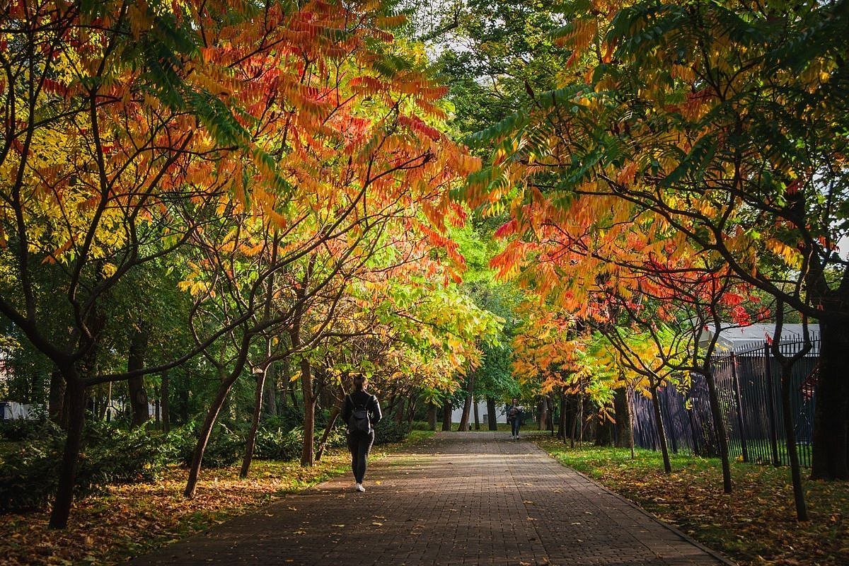 Какие города Краснодарского края вошли в десятку самых теплых в России 26 ноября