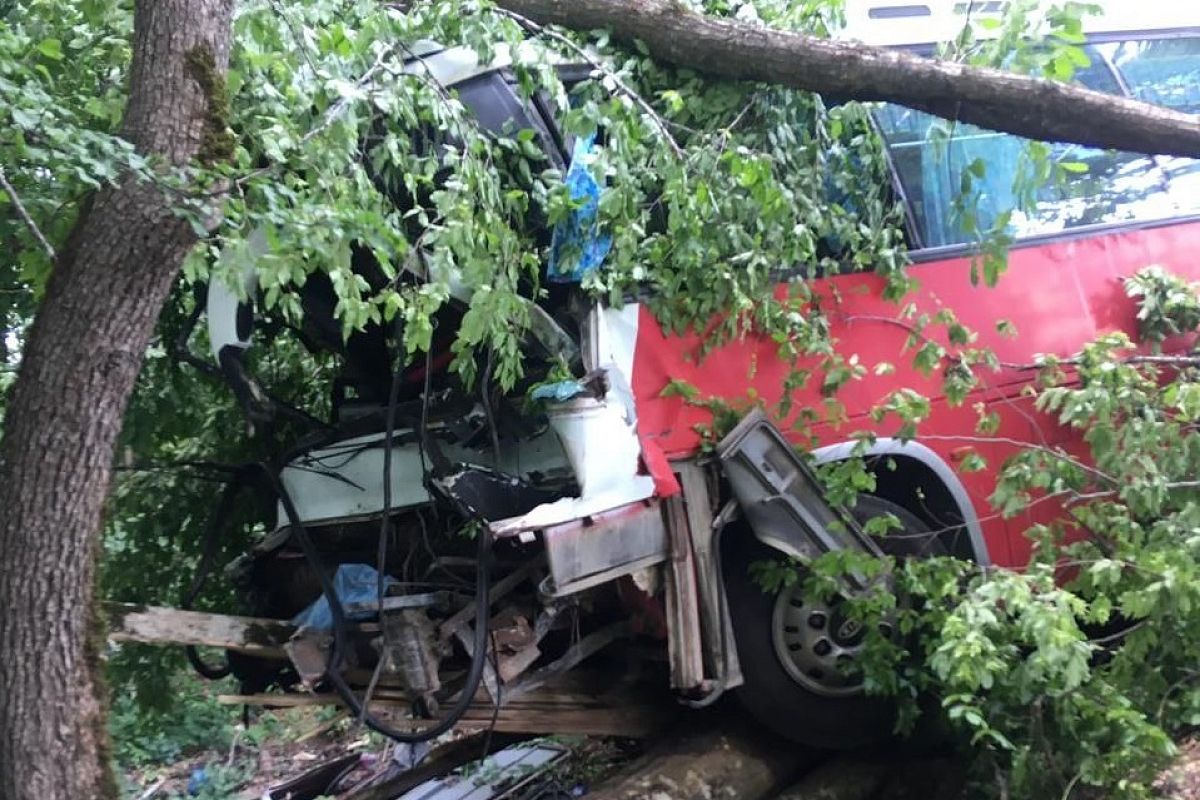 Спасатели показали, как помогали попавшим в массовое ДТП в Мезмае студентам из Краснодара