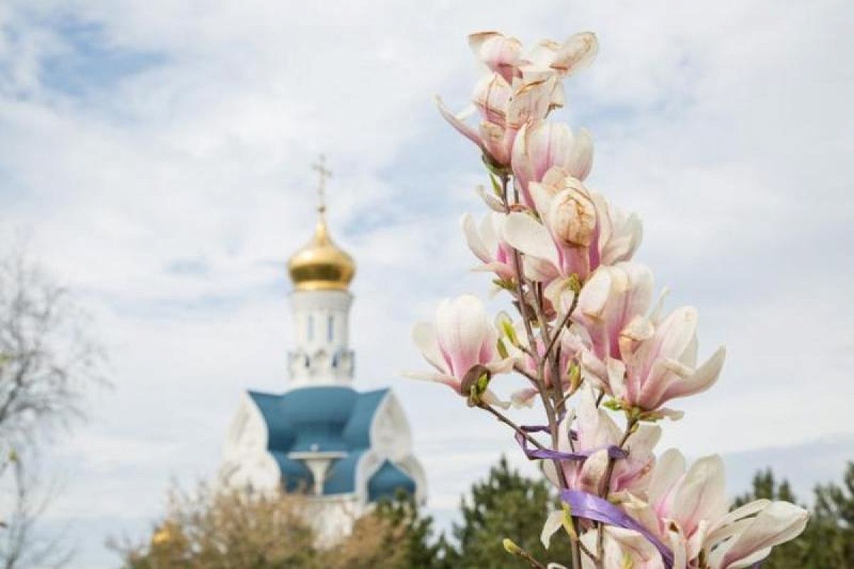 В Анапе сажают магнолии