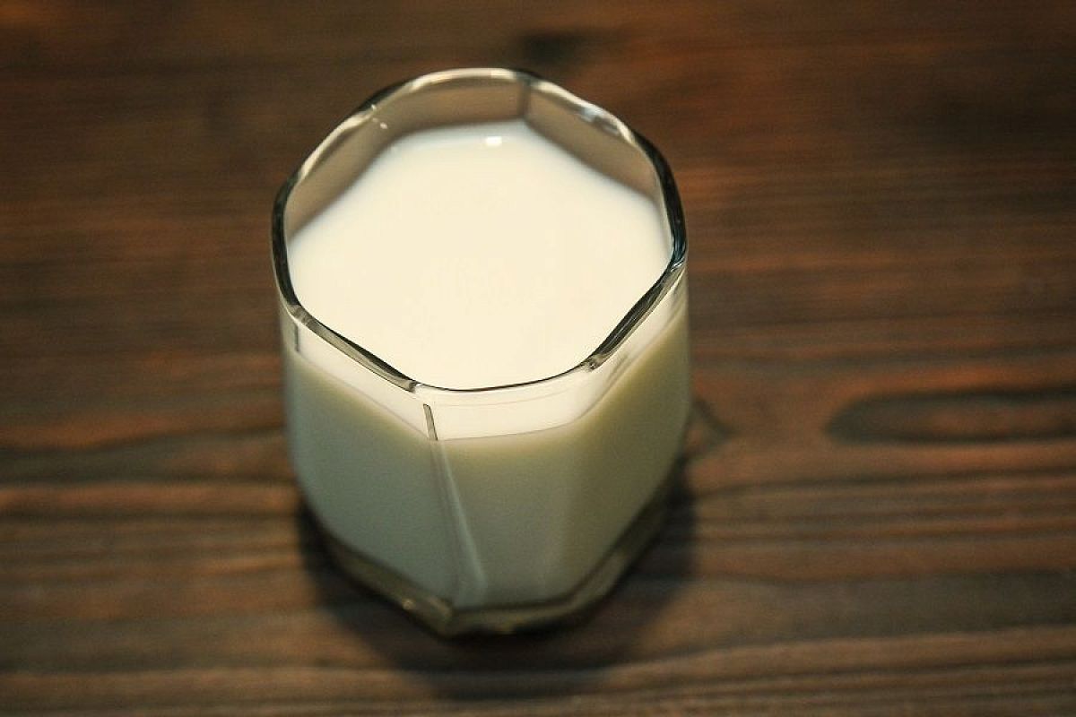 Молочная сыворотка для огурцов: защита от болезней и повышение урожайности