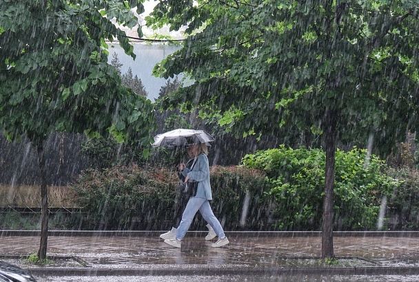 Синоптик Вильфанд предупредил о «пятнистых» дождях в Краснодарском крае