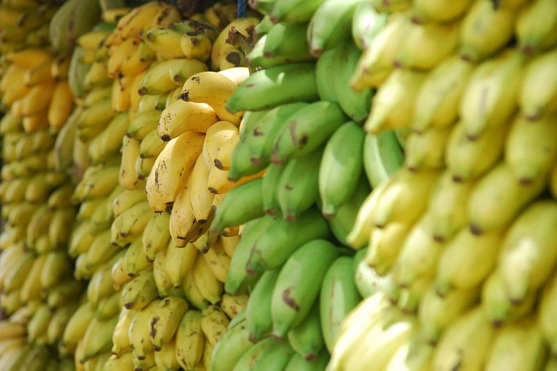 Какие на вас смотрят: бананы какого цвета вам нужно выбрать прямо сейчас