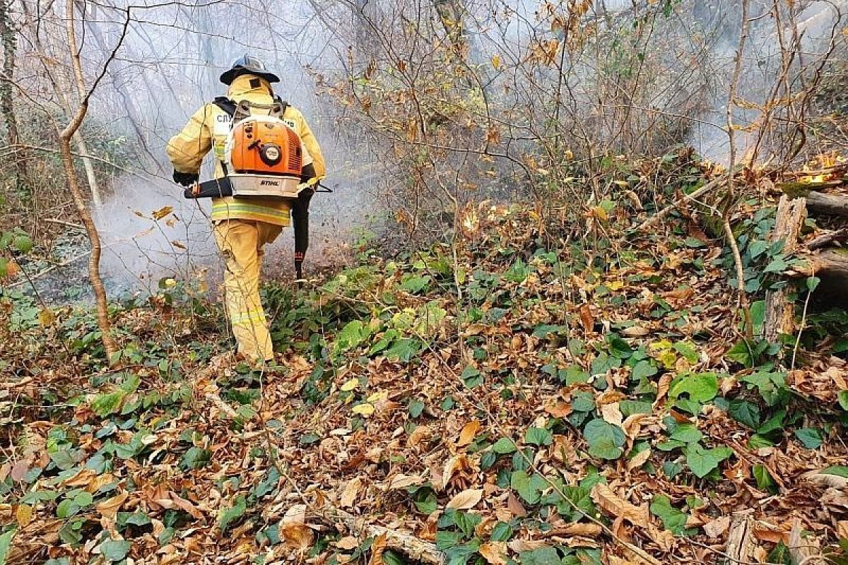 В Краснодарском крае горит 129 га леса