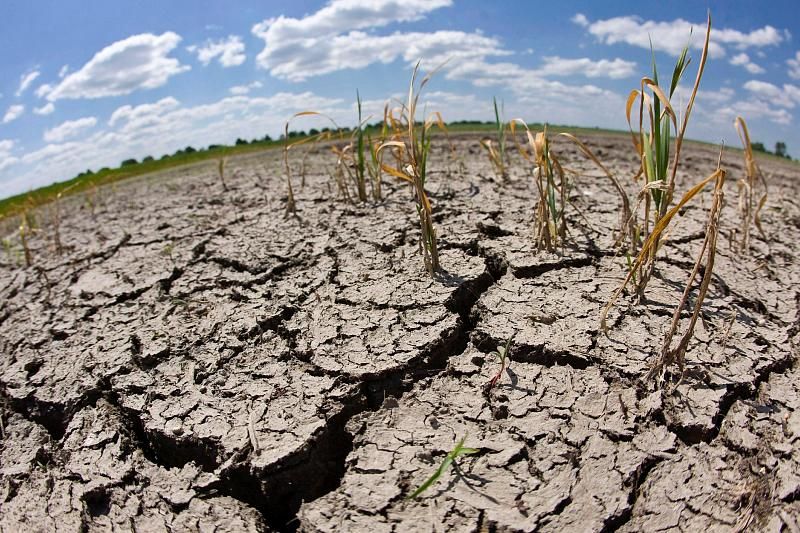 Будет жарко: метеорологи прогнозируют засухи на юге России