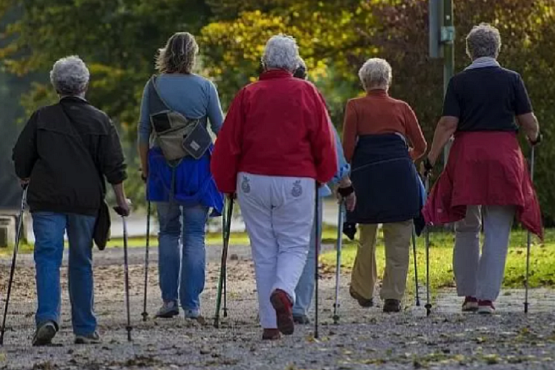 Назван способ снизить риск развития остеопороза в старости