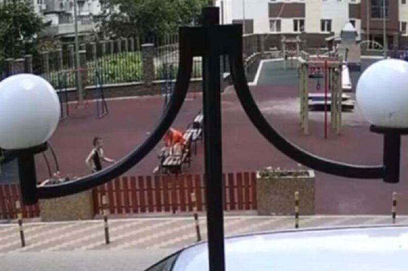 Полиция Краснодара разыскивает хозяйку собаки, укусившей мальчика на детской площадке