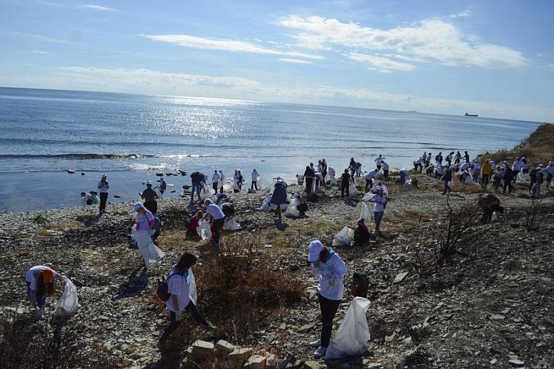 В рамках нацпроектов волонтеры участвуют в марафоне «Чистые берега Краснодарского края»