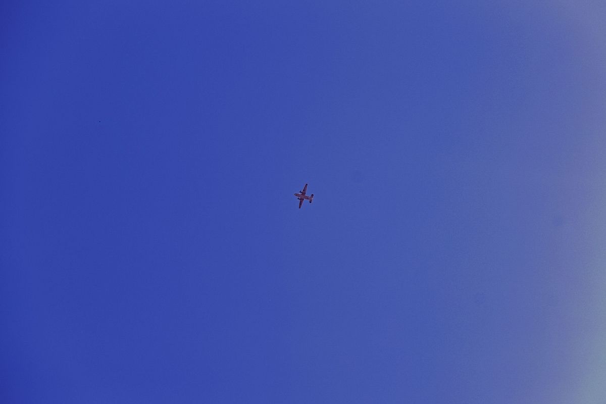 В России разработали дрон-«дробовик», способный поражать до пяти БПЛА за вылет