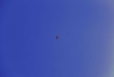 В России разработали дрон-«дробовик», способный поражать до пяти БПЛА за вылет