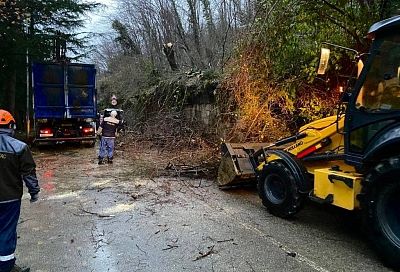 Поваленные деревья и подвижка грунта: по Сочи ударила непогода