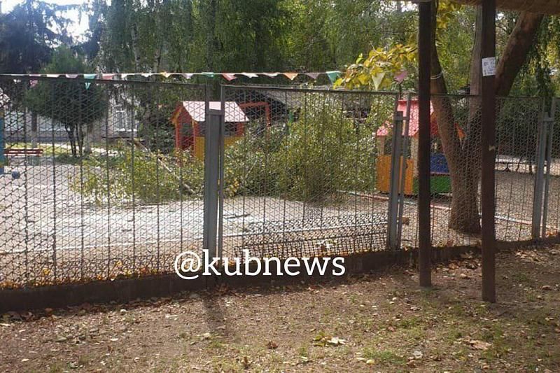 В Краснодаре из-за сильного ветра на площадку детского сада упало дерево