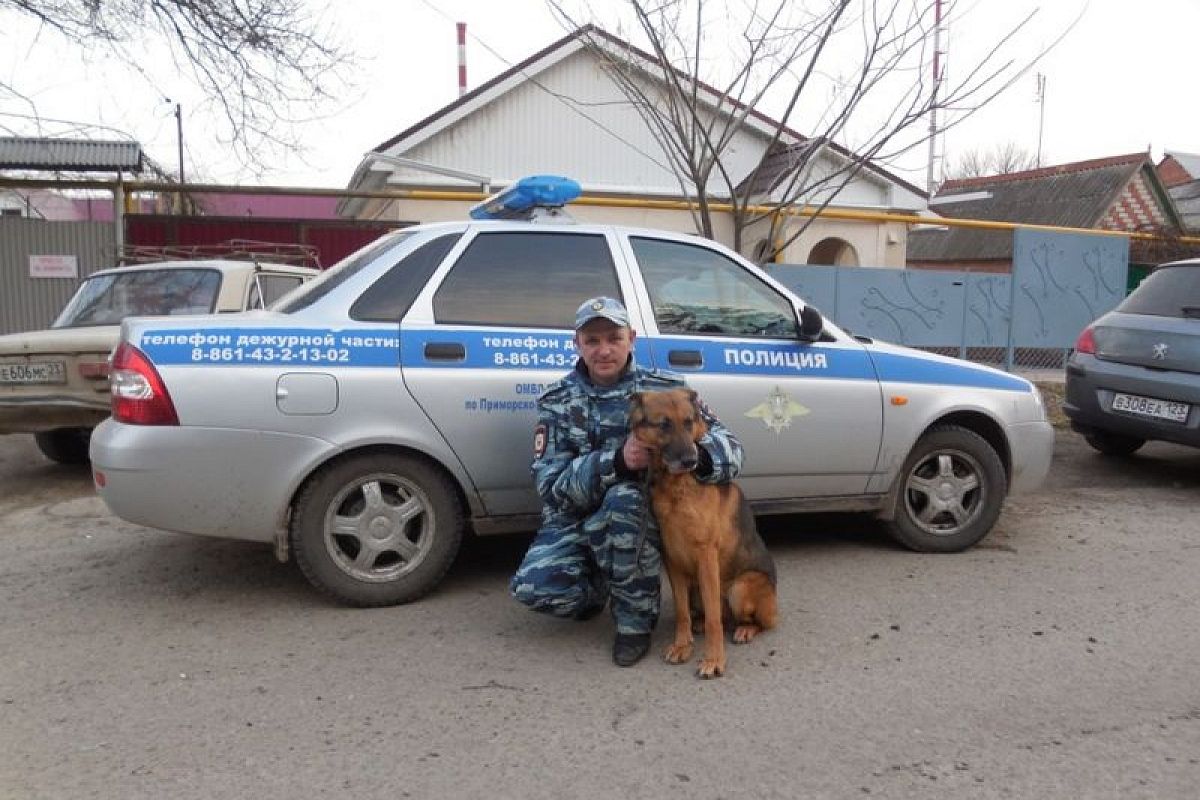 Норд вывел на след: в Краснодарском крае служебная собака помогла полицейским раскрыть кражу