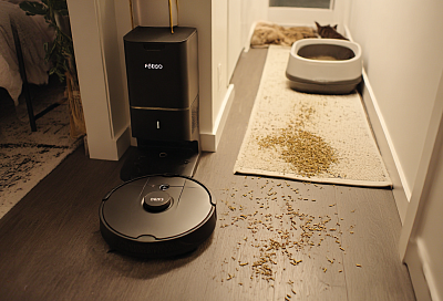 Как поддерживать чистоту в квартире с четырьмя кошками: мой простой ежедневный ритуал