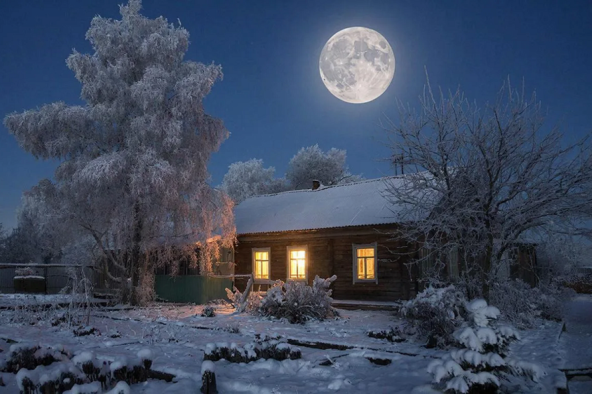 Что делать на участке с 6 по 12 декабря: лунный календарь для садоводов, которым и зимой нет покоя