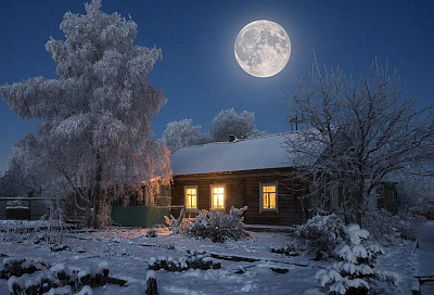 Что делать на участке с 6 по 12 декабря: лунный календарь для садоводов, которым и зимой нет покоя