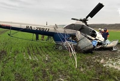 Ми-2 в Краснодарском крае упал после того, как задел деревья