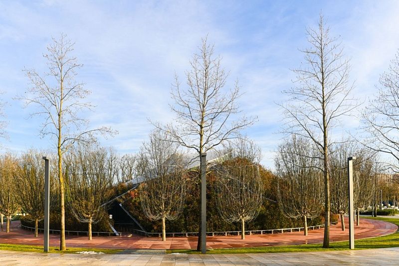 Геопластика и кедры: новый объект дополнит ландшафтную композицию парка Галицкого
