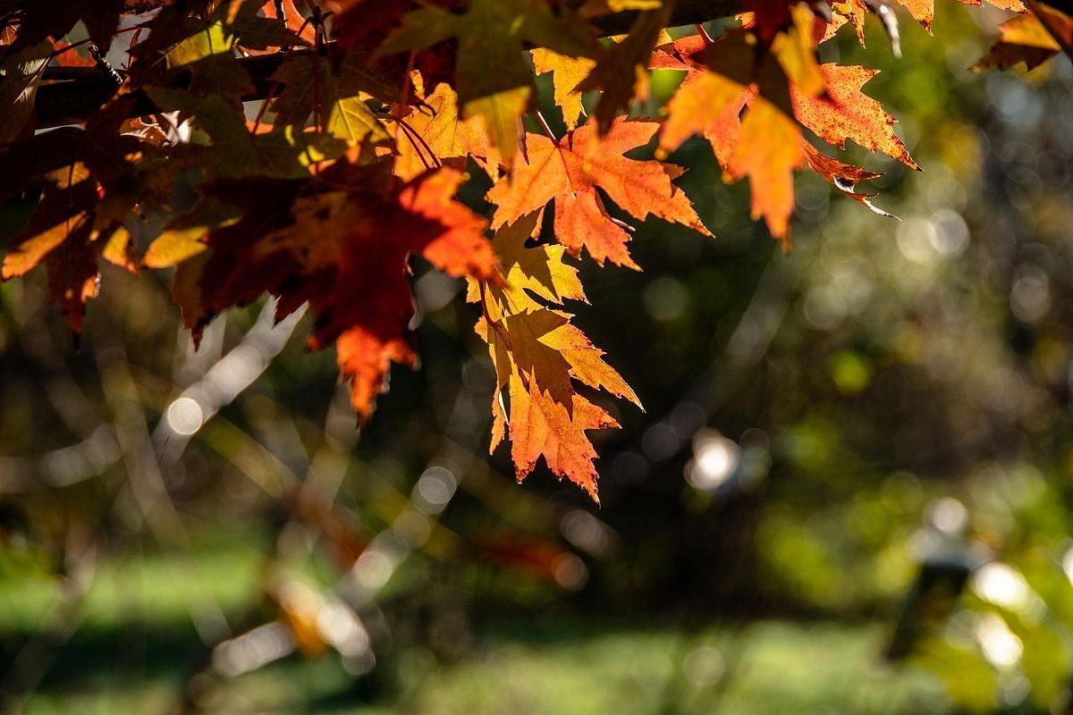 Температуры взлетят до +28 градусов и резко рухнут: похолодание в Краснодарский край придет с сильными дождями