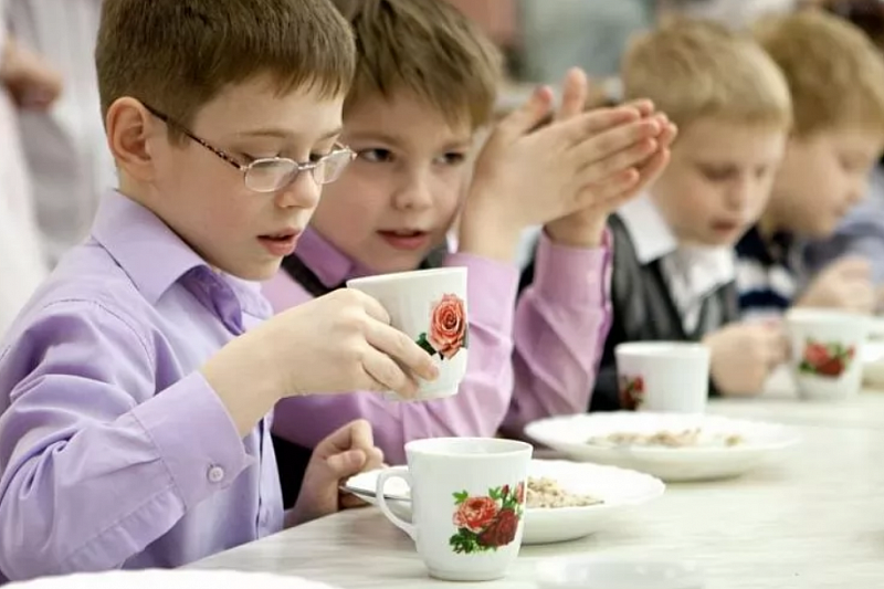 В школах Краснодарского края проведут внеочередные проверки качества питания после отравления детей в Кропоткине