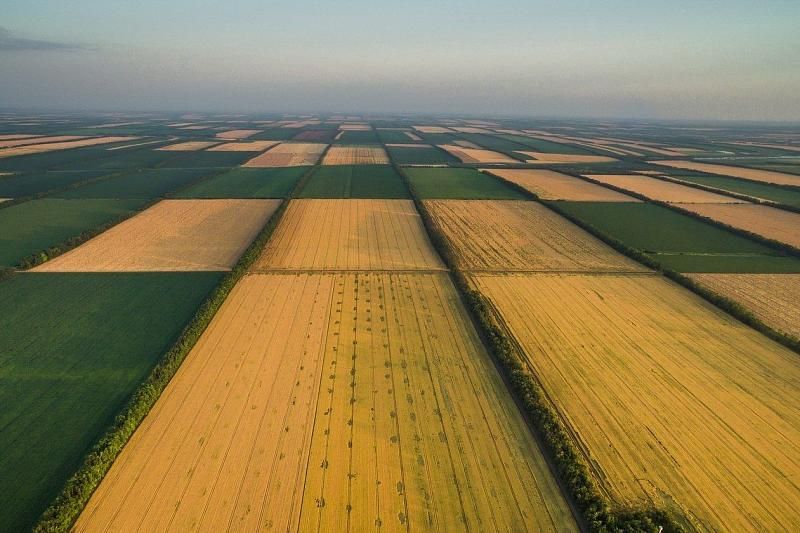 В Краснодарском крае открыто 29 казачьих сельхозкооперативов