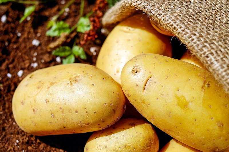 Как получить хороший урожай картофеля
