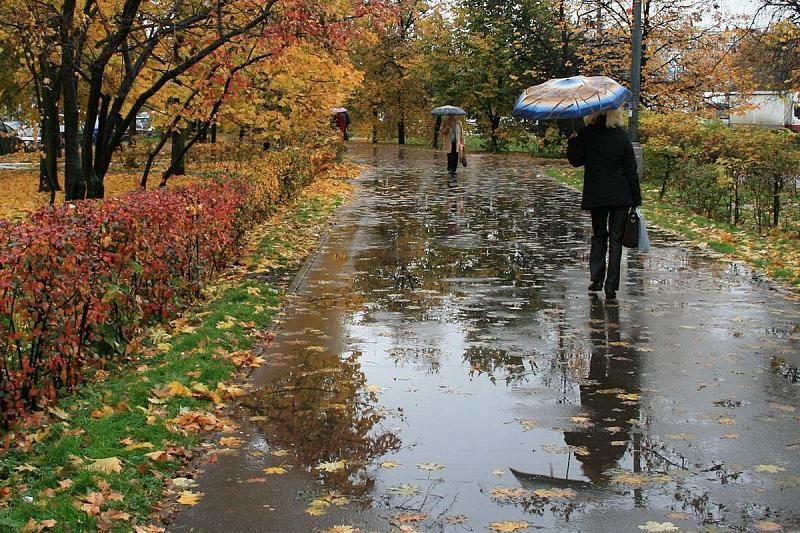В Краснодарском крае с 11 октября ожидаются дожди и ветер