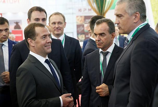 Дмитрий Медведев одобрил идею создания в Краснодарском крае животноводческого селекционного центра