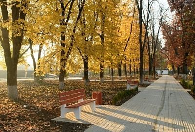 В Краснодаре разработают новый стандарт озеленения города