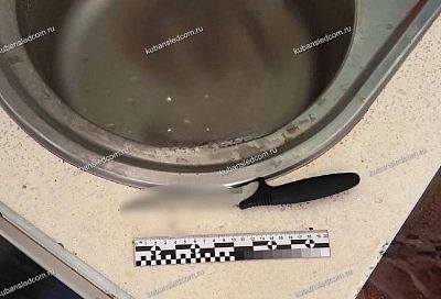 Жительница Анапы зарезала мать во время ссоры из-за оскорблений