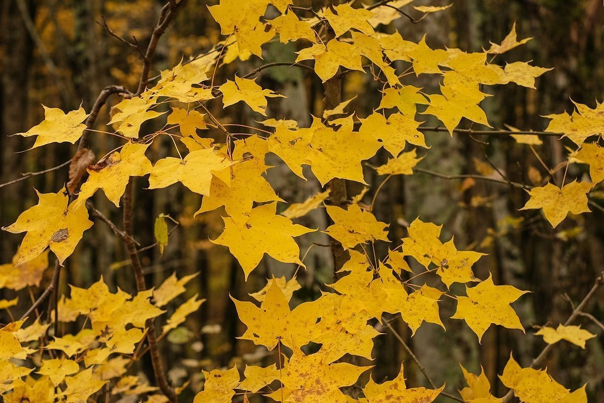Антициклон разгонит тучи: когда наладится погода в Краснодарском крае