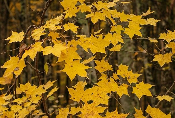 Антициклон разгонит тучи: когда наладится погода в Краснодарском крае