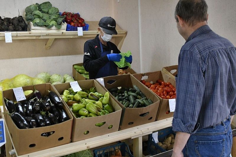 В спальных районах городов Краснодарского края станет больше небольших продуктовых рынков