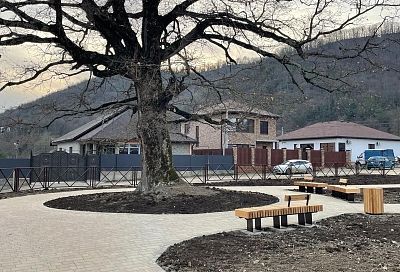 Сквер обустроили возле 500-летнего дуба в ауле под Туапсе