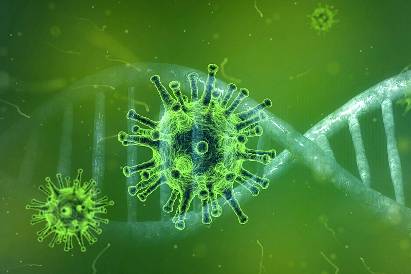 Китайские ученые: на Западе коронавирус мутировал и стал еще более опасным