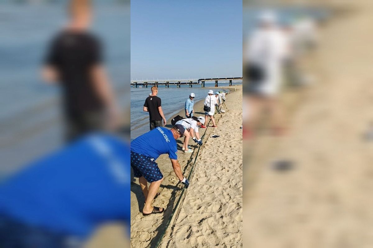 Новых выбросов мазута с 29 июля по 5 августа в Анапе не обнаружено