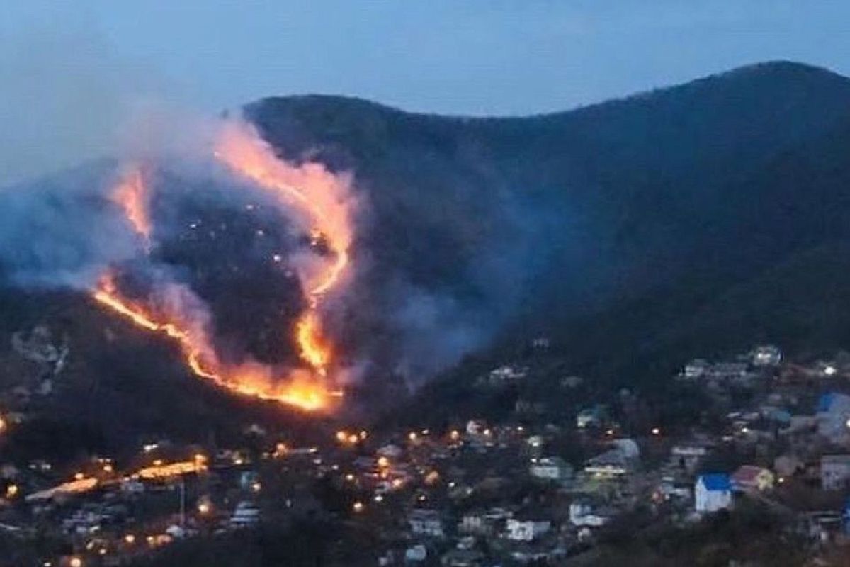 Возгорание сухой травы возле Туапсе ликвидировано