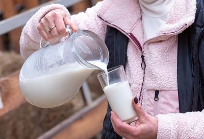 В России стали разводит овец молочной породы