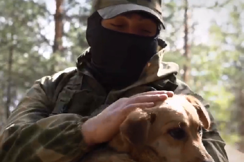 Артиллерист рассказал, как собака помогла обнаружить технику ВСУ