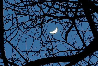 От +1 до +6 градусов: ночные температуры резко рухнут в Краснодарском крае