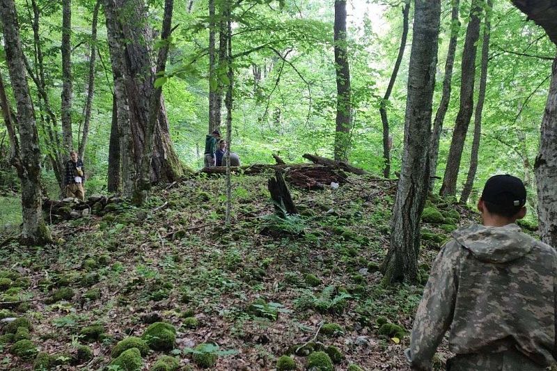 Студенты-экологи обнаружили в лесу под Сочи древние сооружения и курганы