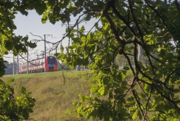 В Краснодарском крае не планируют менять цены на проезд в пригородных поездах