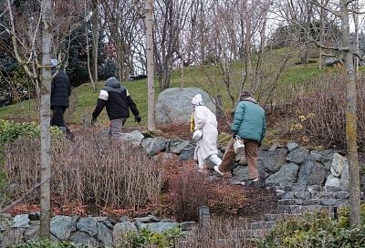 Краснодар вошел в топ-10 популярных направлений для путешествий этой зимой