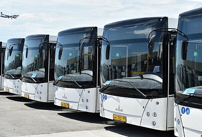 В Сочи автопарк муниципального транспорта пополнится на 50 автобусов