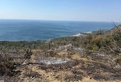 Пожар на территории Утриша под Анапой удалось локализовать