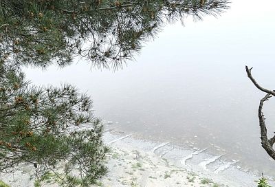 Приморский поселок в Краснодарском крае стал самым теплым местом России 25 января